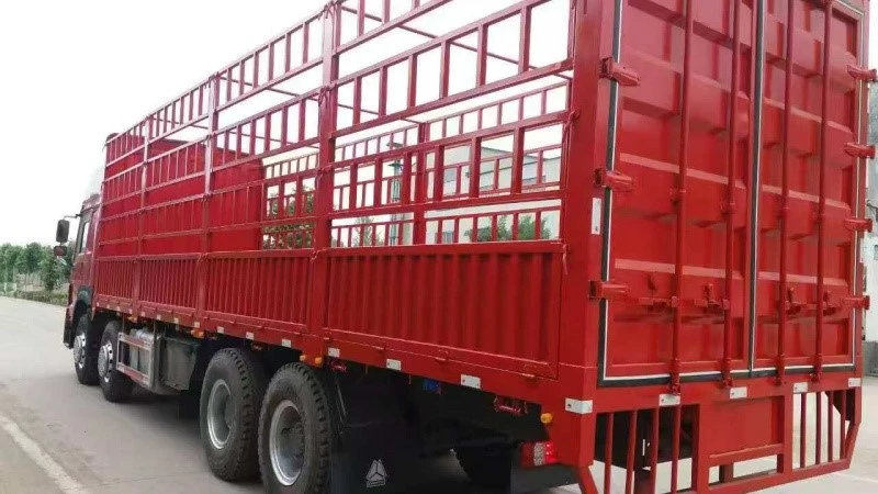 product-800-450 product-800-450